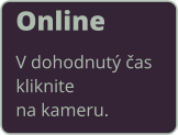 Online V dohodnutý časkliknitena kameru.